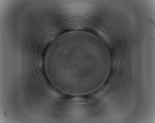 X0000091360315200708241316
