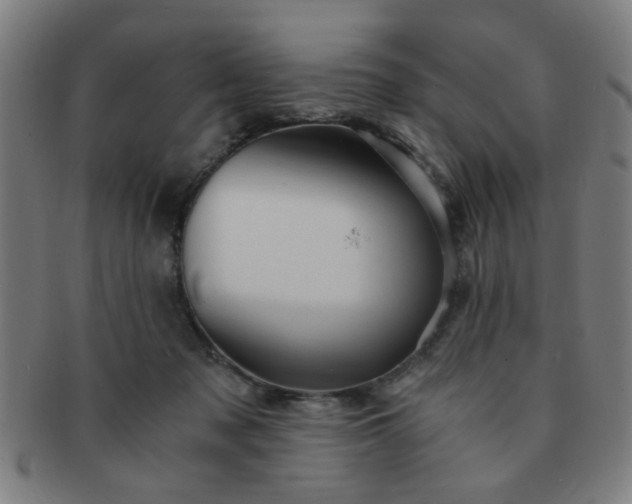 X0000091360317200708241316