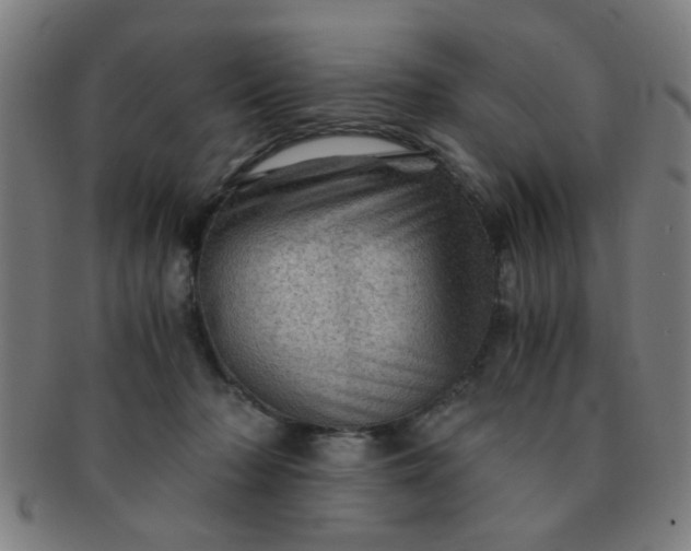 X0000091360318200708241316