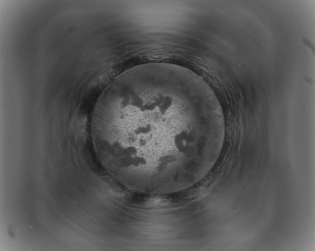 X0000091360319200708241316