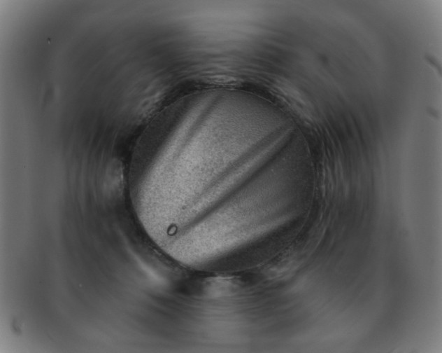 X0000091360320200708241316