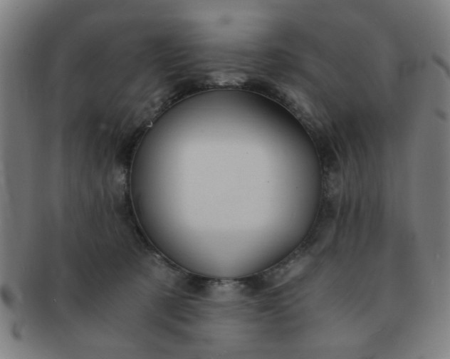 X0000091360321200708241316