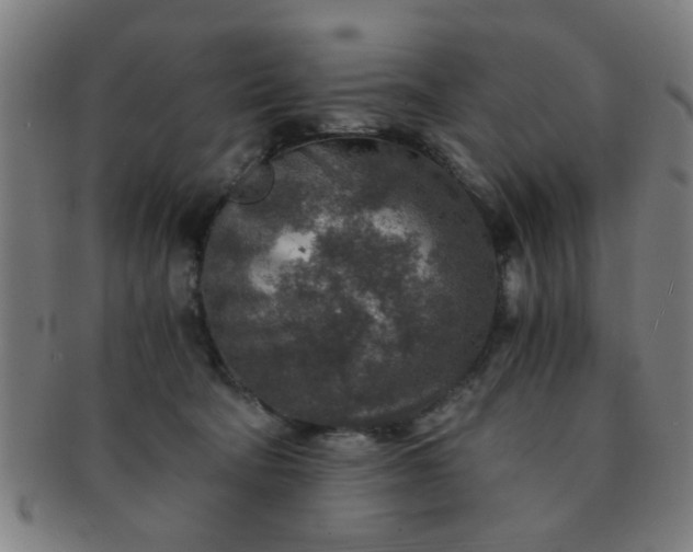 X0000091360322200708241316