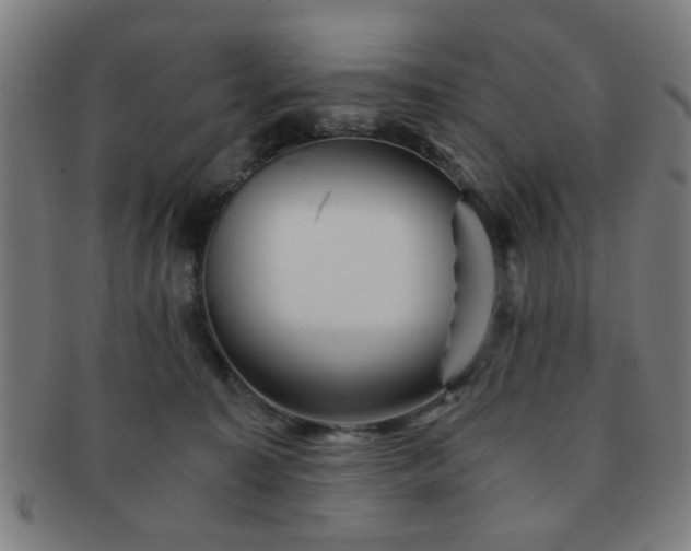 X0000091360323200708241316