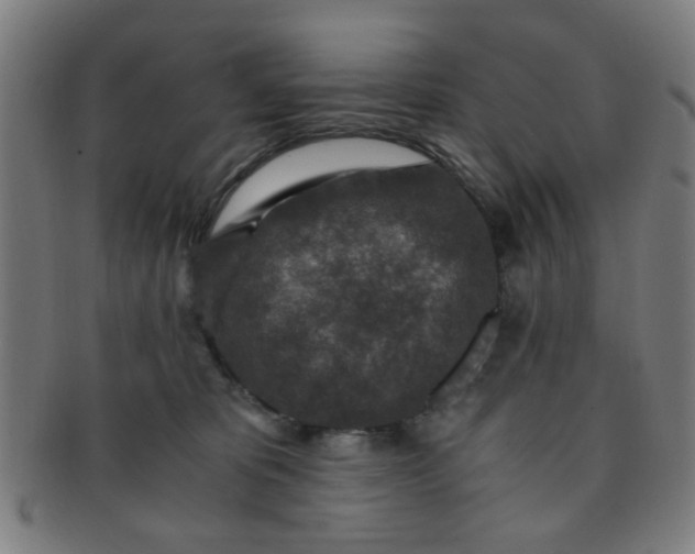 X0000091360325200708241316