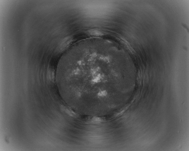 X0000091360330200708241316