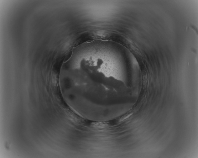 X0000091360331200708241316