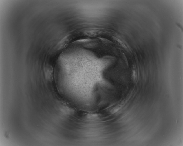 X0000091360332200708241316