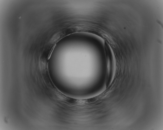 X0000091360333200708241316