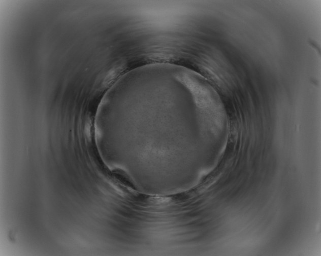 X0000091360334200708241316