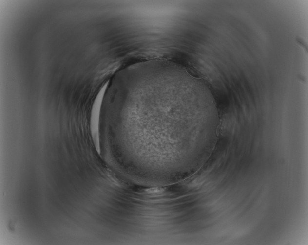 X0000091360335200708241316
