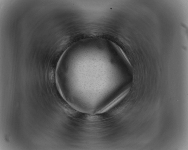 X0000091360336200708241316