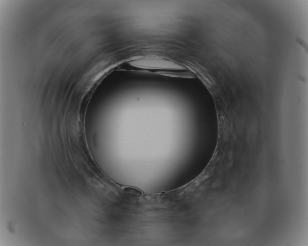 X0000091360338200708241315
