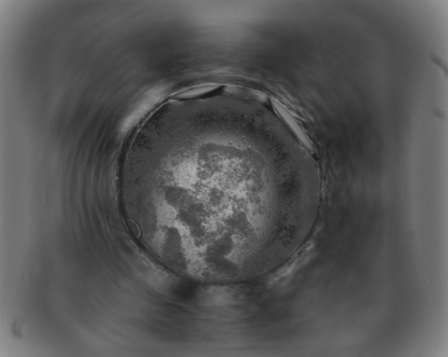 X0000091360341200708241315