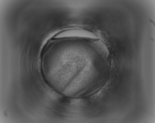 X0000091360342200708241315