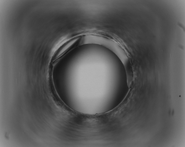 X0000091360344200708241315