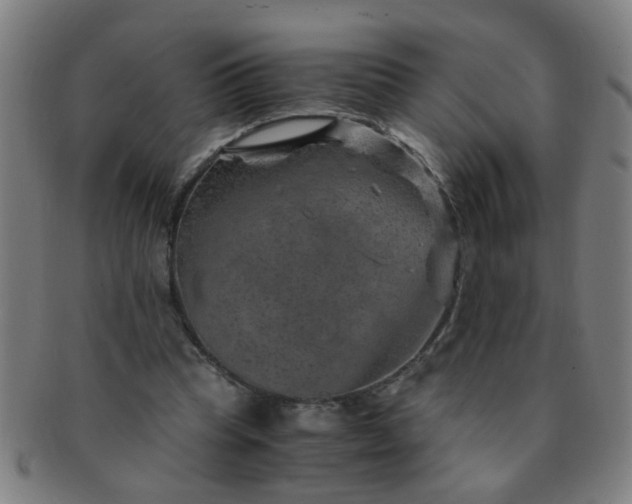 X0000091360345200708241315