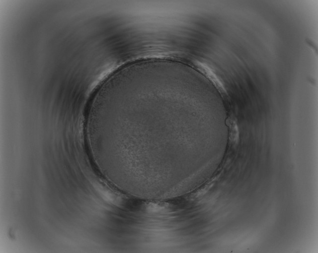 X0000091360346200708241315