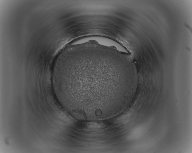 X0000091360347200708241315