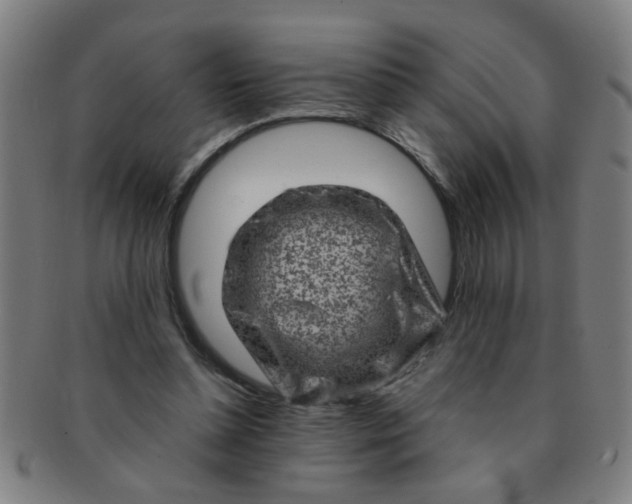 X0000091360348200708241315