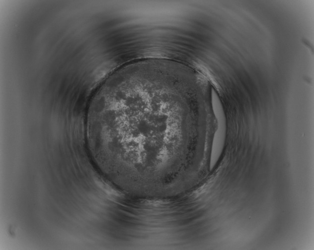 X0000091360349200708241315