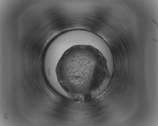 X0000091360350200708241315