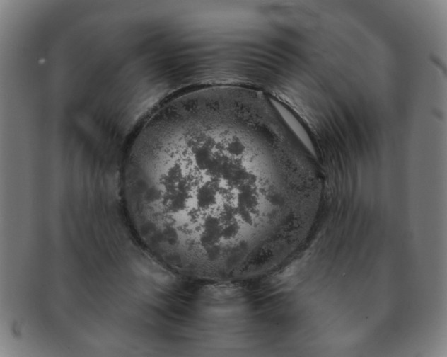 X0000091360351200708241315