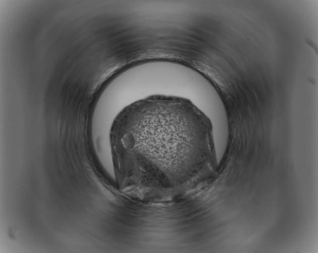 X0000091360352200708241315