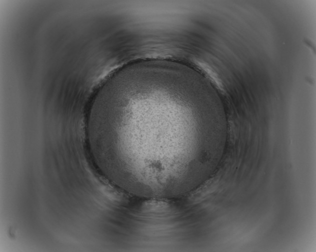 X0000091360354200708241315
