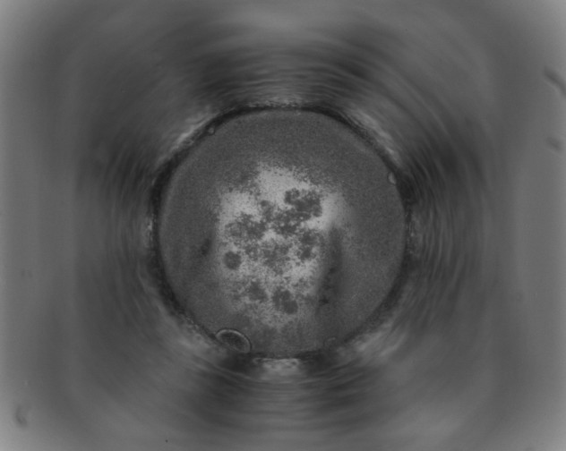 X0000091360355200708241315