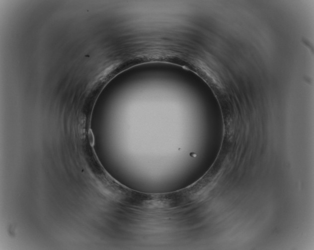 X0000091360356200708241315
