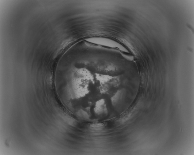 X0000091360357200708241315
