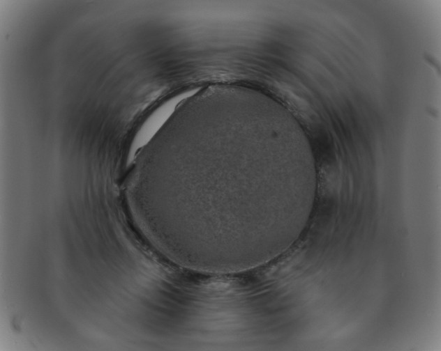 X0000091360358200708241315