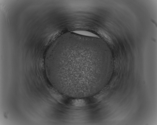 X0000091360361200708241315
