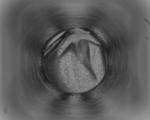 X0000091360362200708241315