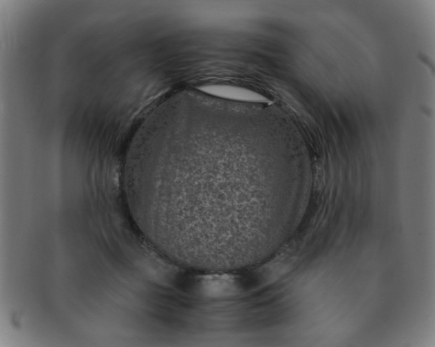 X0000091360363200708241315