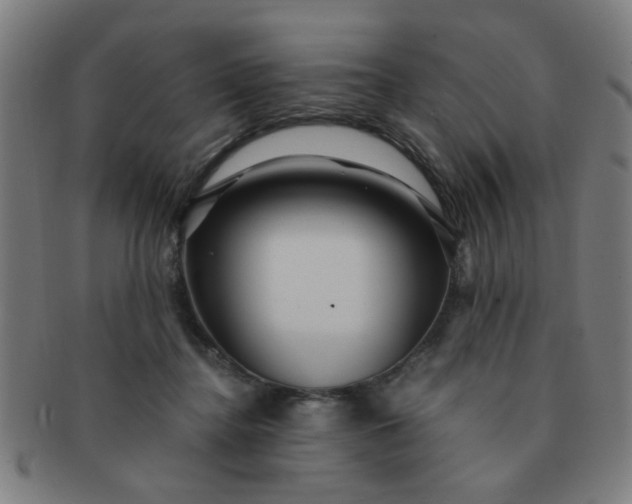 X0000091360364200708241315