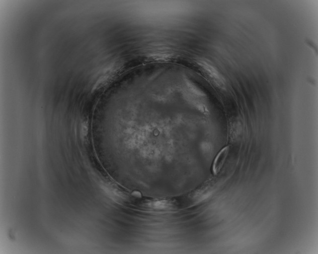 X0000091360365200708241315
