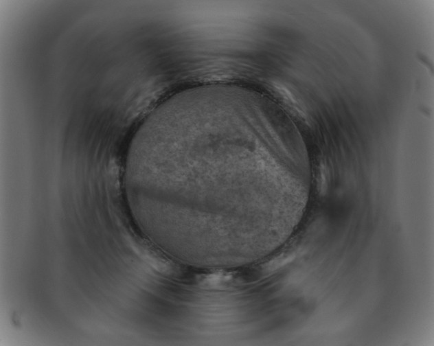 X0000091360366200708241315