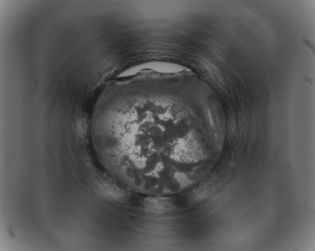 X0000091360367200708241315
