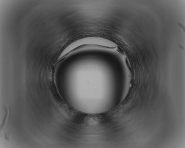 X0000091360368200708241315