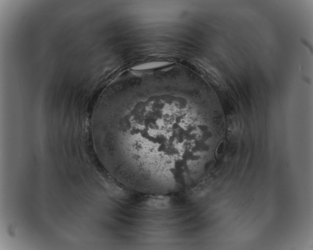X0000091360369200708241315