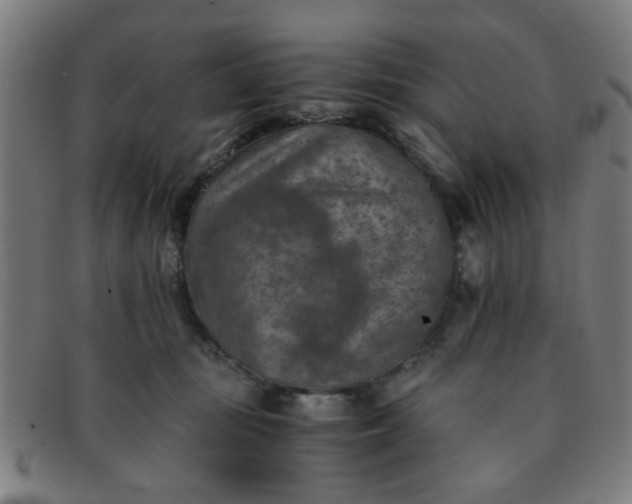 X0000091360371200708241315