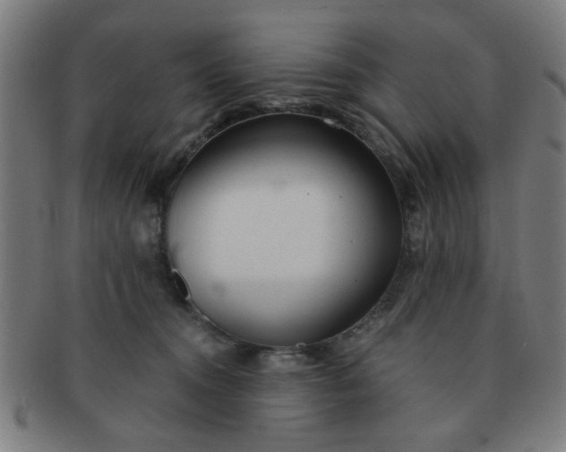 X0000091360372200708241315