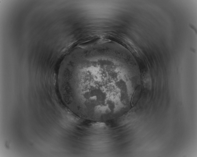 X0000091360374200708241315
