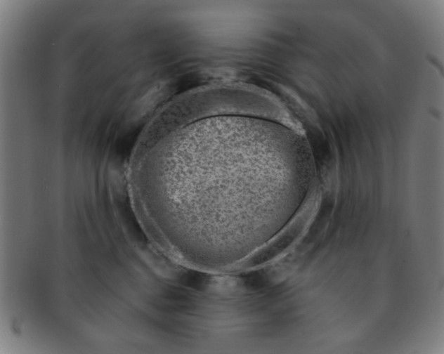 X0000091360376200708241316