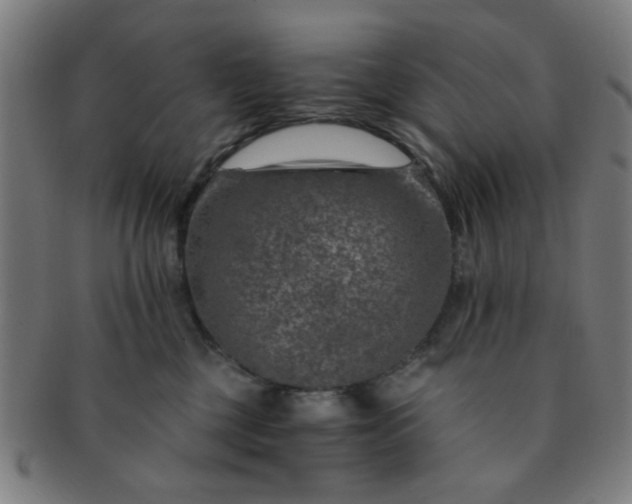 X0000091360377200708241316