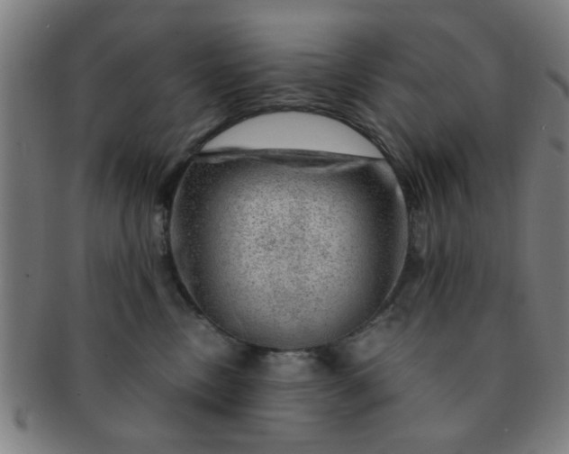 X0000091360378200708241316