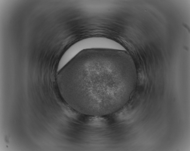 X0000091360379200708241316