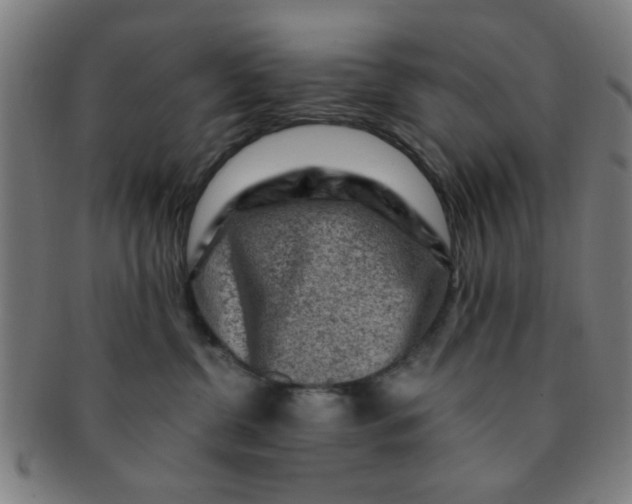 X0000091360380200708241316